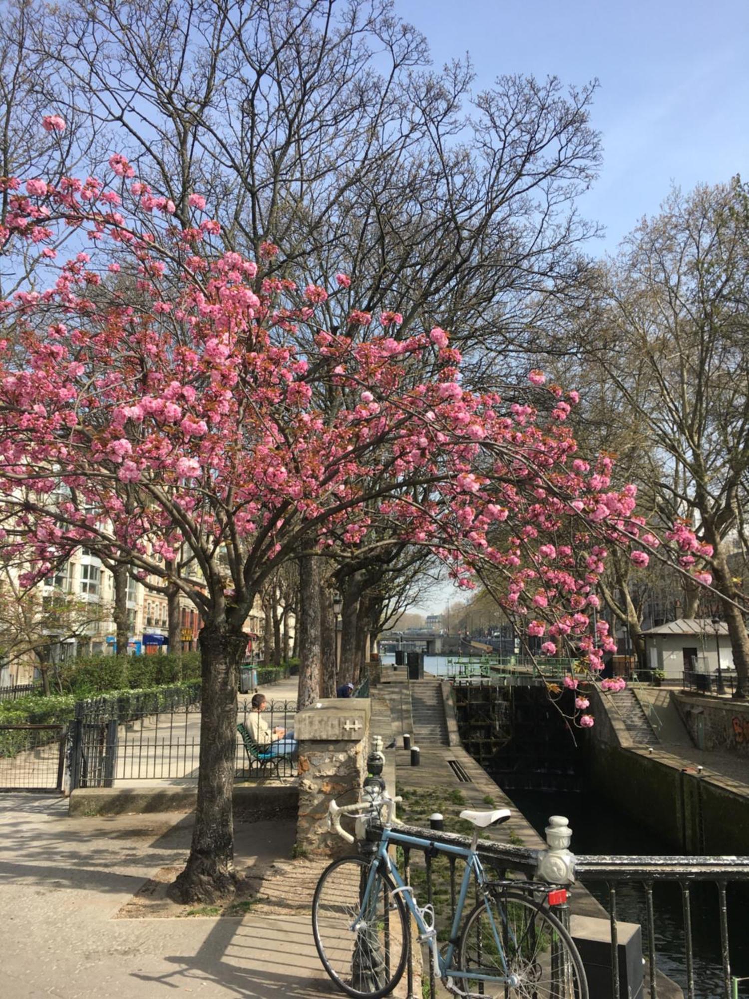 A Paris, Au Bord De L'Eauアパートメント エクステリア 写真